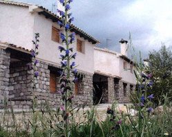 Casas Nelia