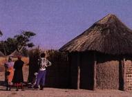 Hotels in Botswana